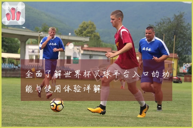 全面了解世界杯买球平台入口的功能与使用体验详解
