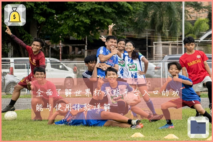 全面了解世界杯买球平台入口的功能与使用体验详解